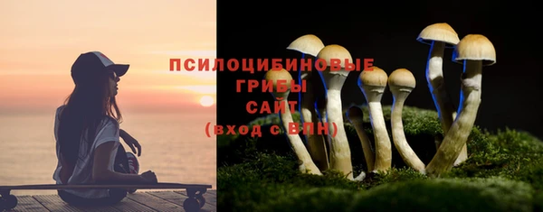 крисы Арсеньев