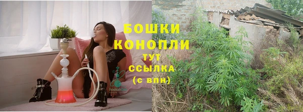 крисы Армянск