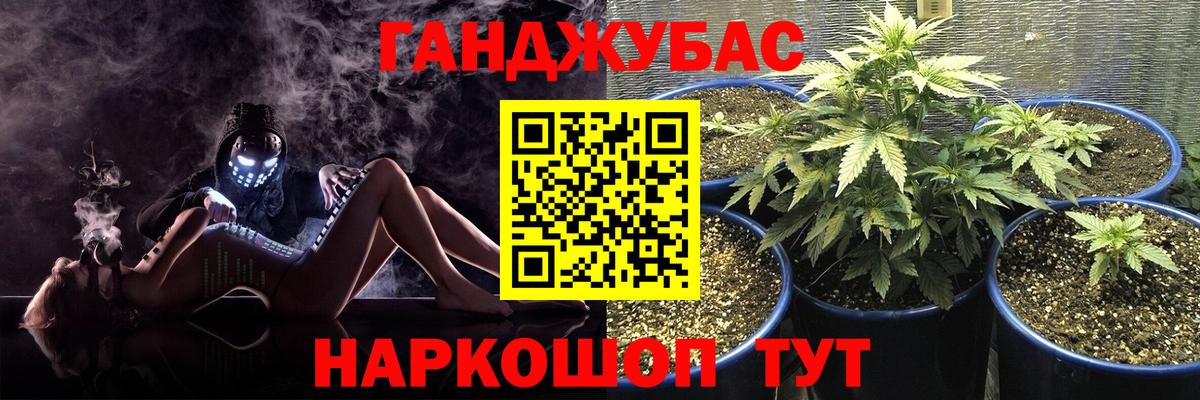 Каннабис гибрид  Бошки марихуана планчик  Вход с VPN  Темрюк 